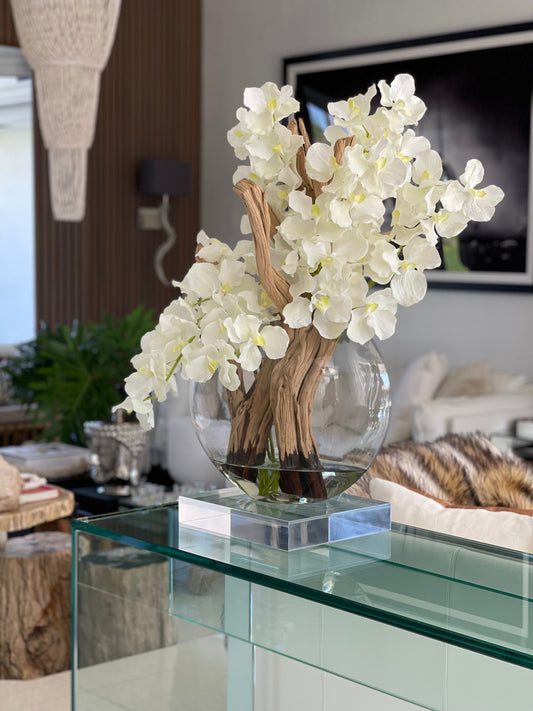 Vase Lune 16″ avec orchidées Vanda blanches
