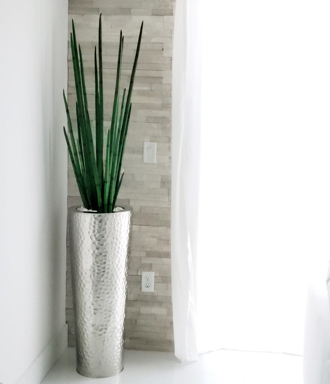 Hammered Cone with 4ft Snake Grass