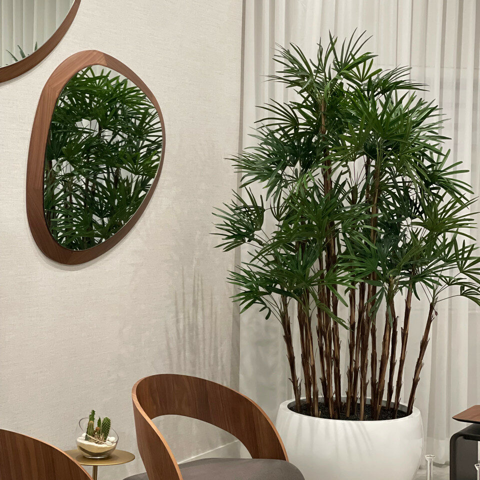 Trees and Plants White Terragona Planter with Lady Palm