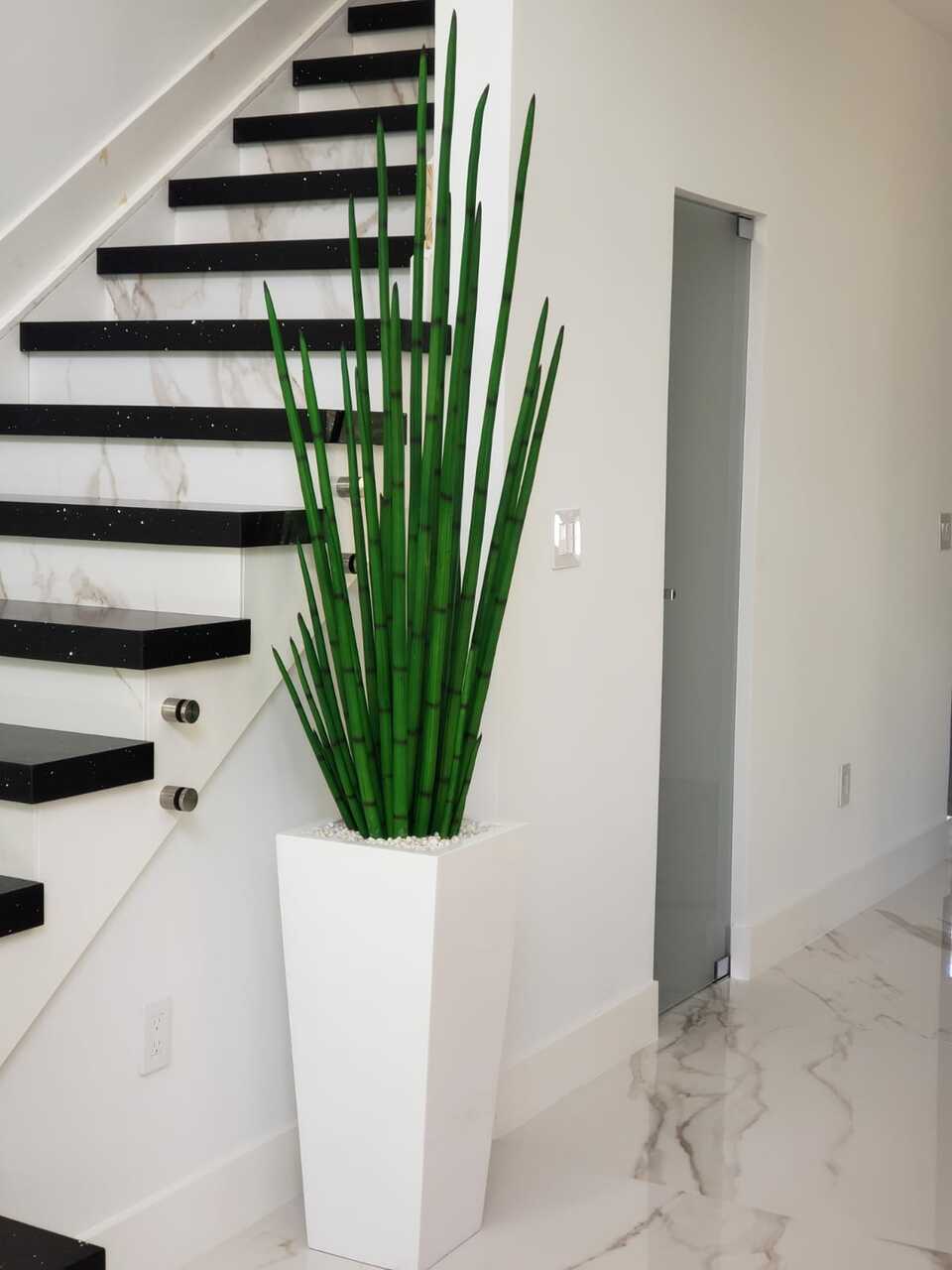 Snake grass (63″) with Beau M planter in glossy white