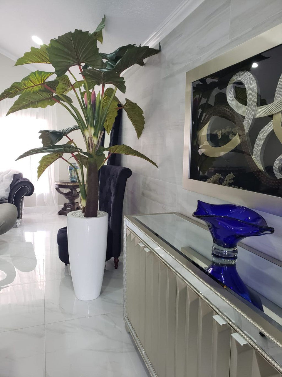 Red Prince Alocasia in Dax L glossy white planter