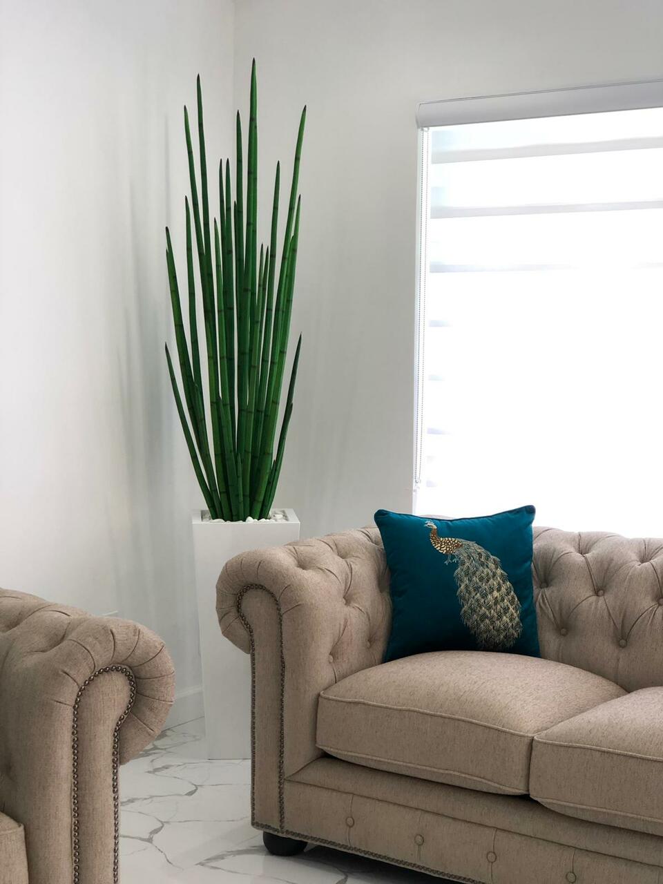 Snake grass (63″) with Dax L planter in glossy white