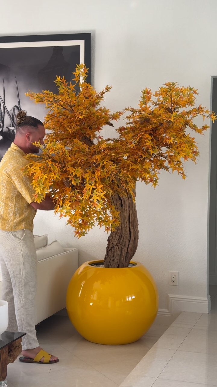 Golden Maple Tree in Dax L Glossy Yellow Planter