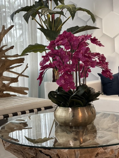Orchidées Phalaenopsis Roses dans un Bol Bowie en Métal Doré (Rupture de stock)