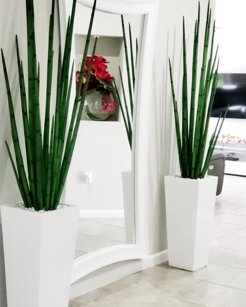 Snake grass (63″) with Beau M planter in glossy white