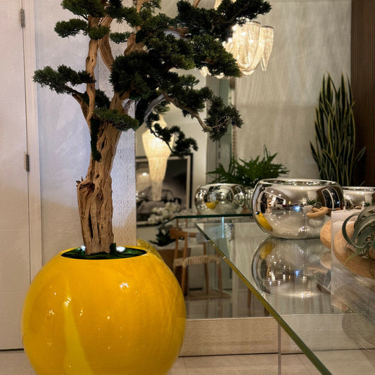Trees and plants trailing bonsai in saffron yellow globe