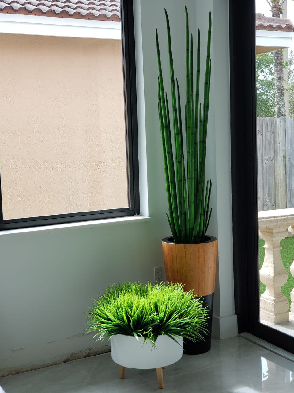 Snake grass (63″) with Lux planter in black