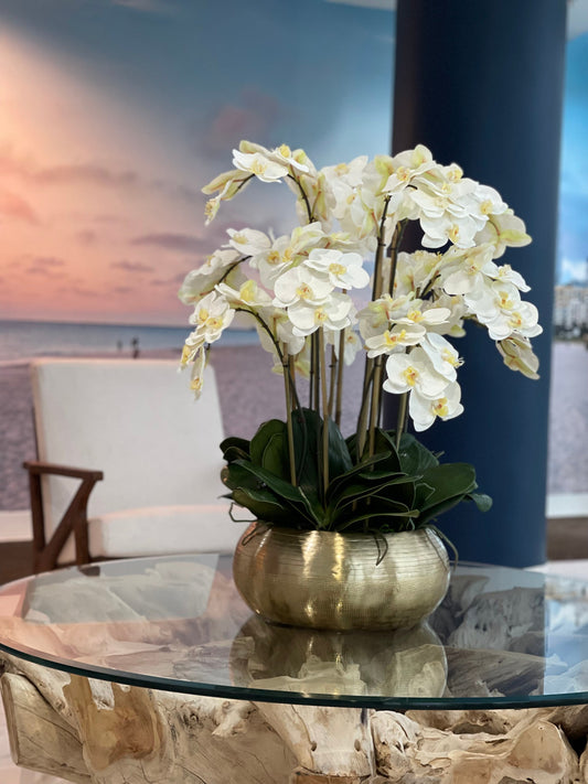 Orchidées Phalaenopsis Blanches Dans Une Coupe Bowie En Métal Doré