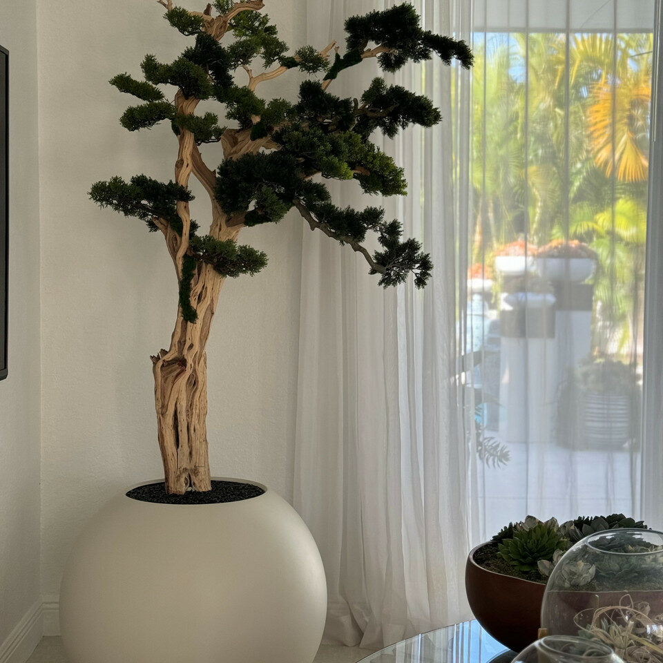 Trees and Plants Trailing Bonsai in 30 Satin Beige Globe