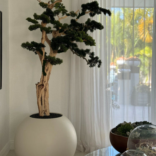 Trees and Plants Trailing Bonsai in 30 Satin Beige Globe