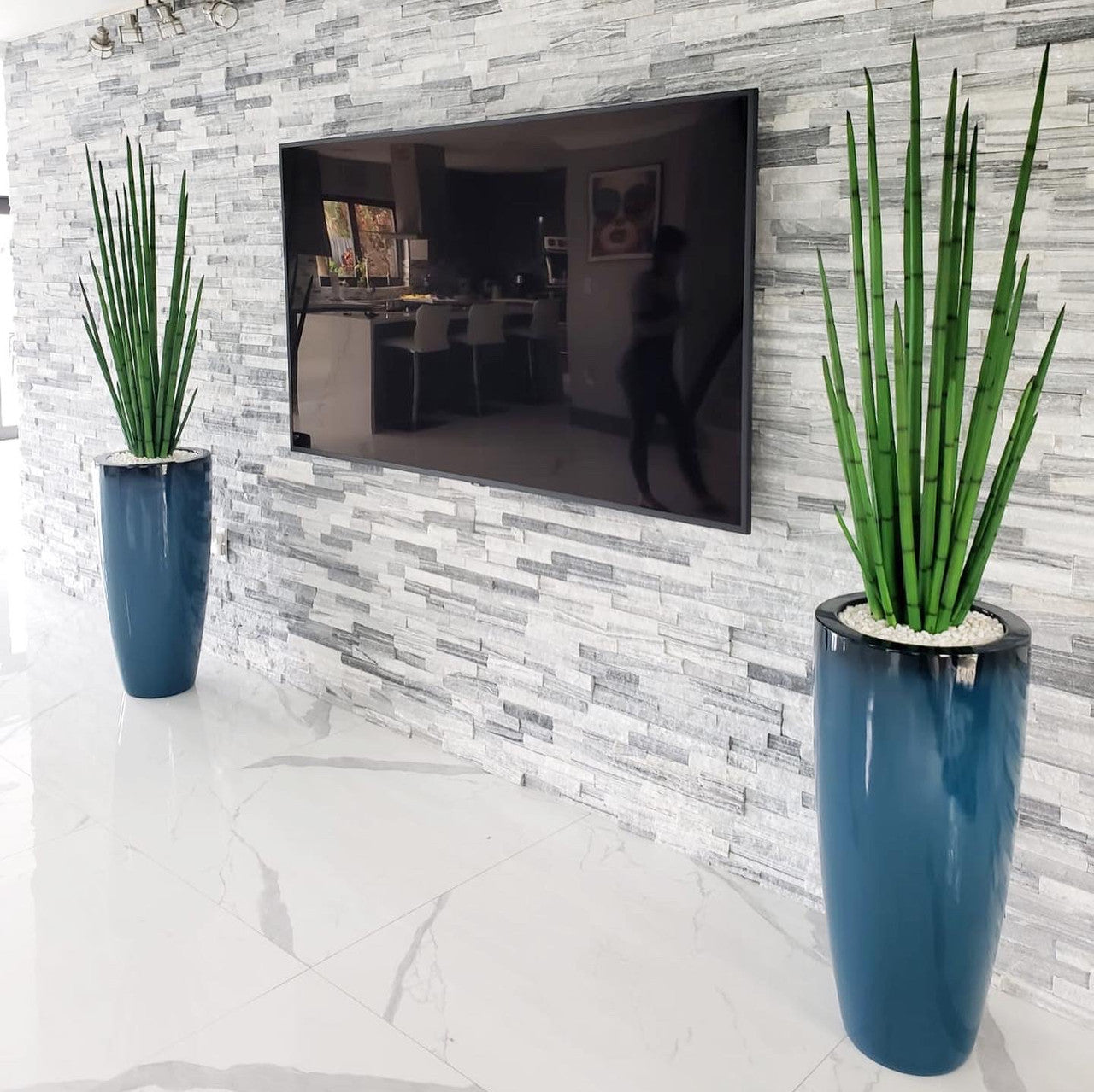 Snake grass (4 ft) with Dax L planter in dark teal