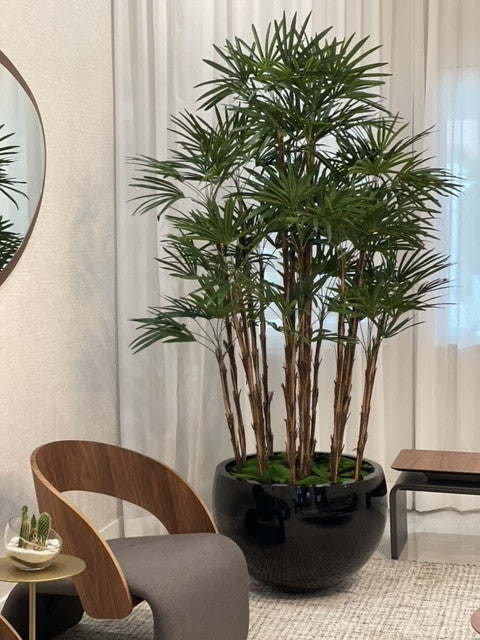 Jardinière Terragona noire avec palmier Kentia