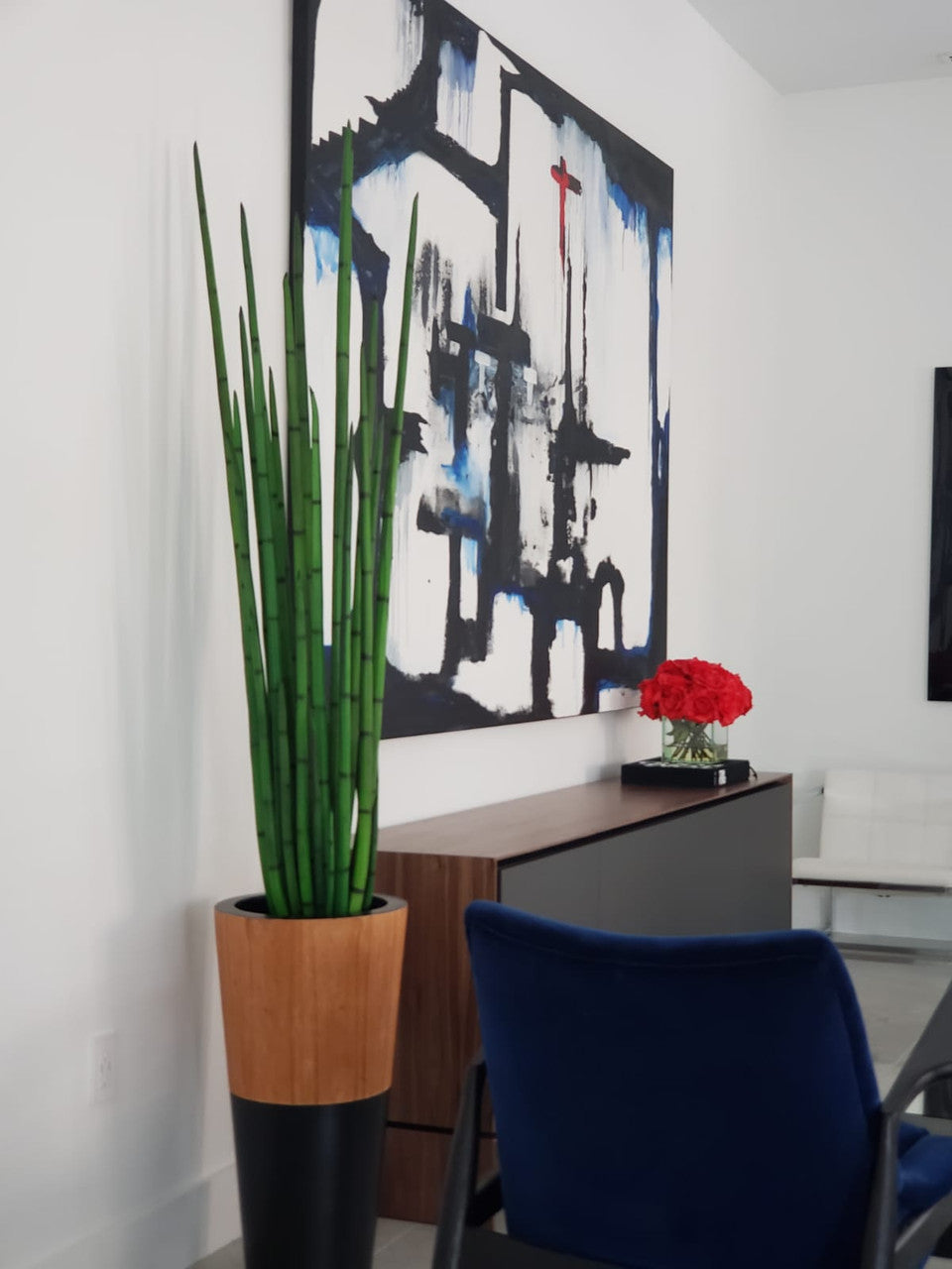 Snake grass (63″) with Lux planter in black