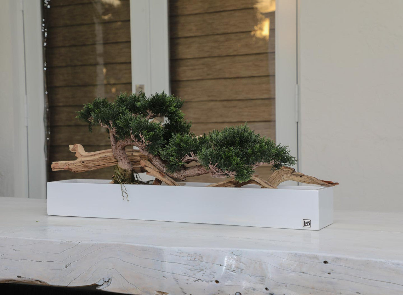 Trailing Cedar Bonsai in Balcony Planter