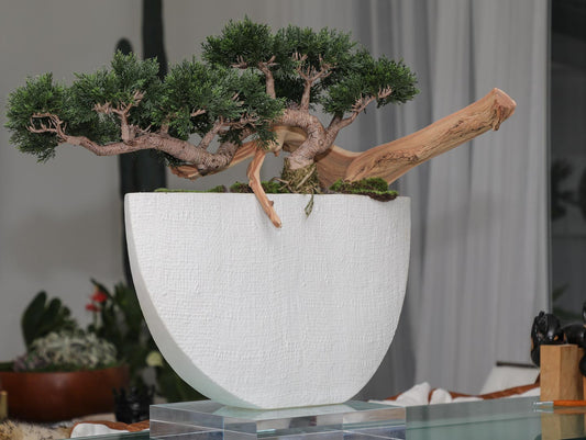 Trailing Cedar Bonsai in Envelope Ceramic Vase