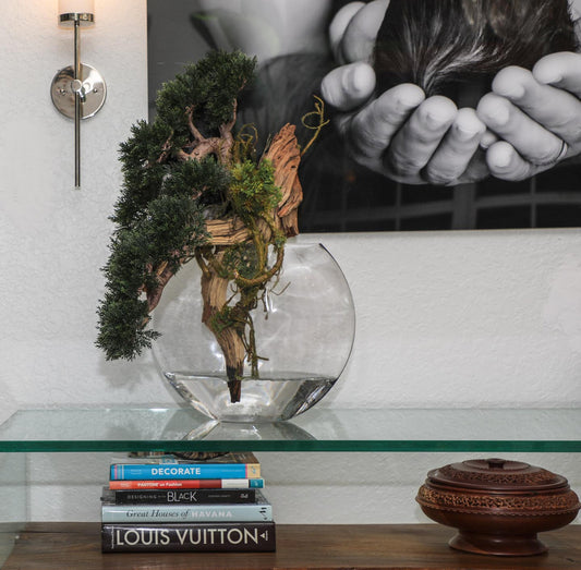 Trailing Cedar Bonsai in Glass Moon Vase