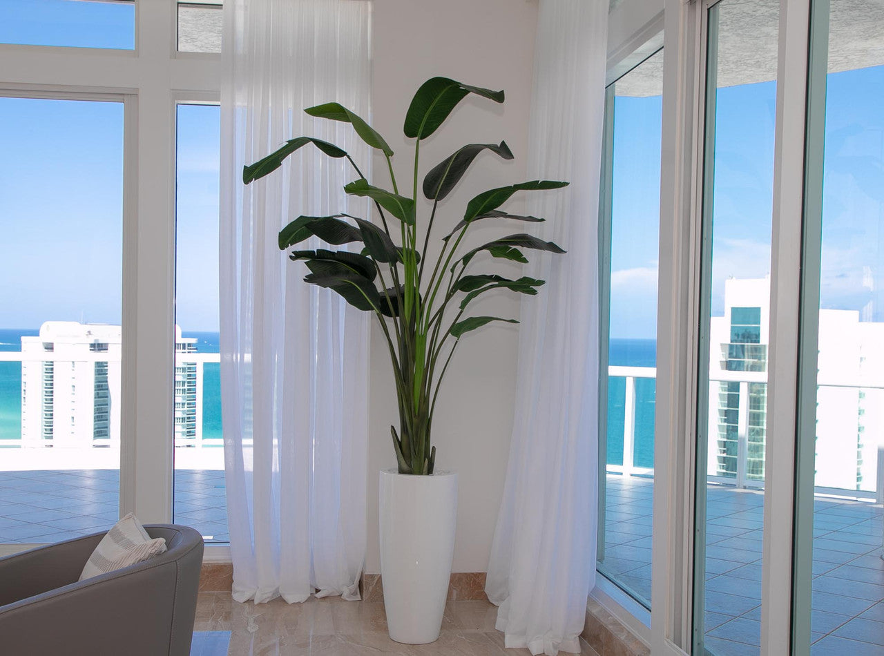 9 ft Bird of Paradise with XL Dax  Planter