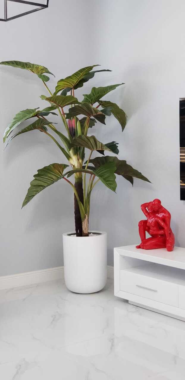 Red Prince Alocasia with Dice XL planter