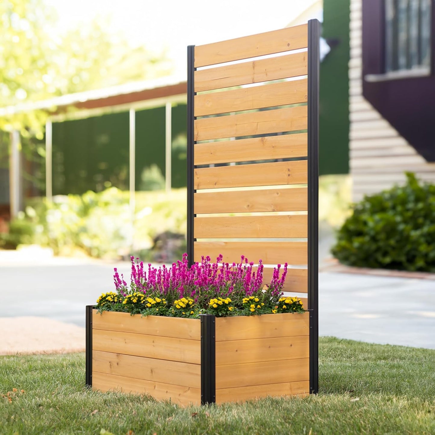 ??Planter boxes with trellis privacy screen