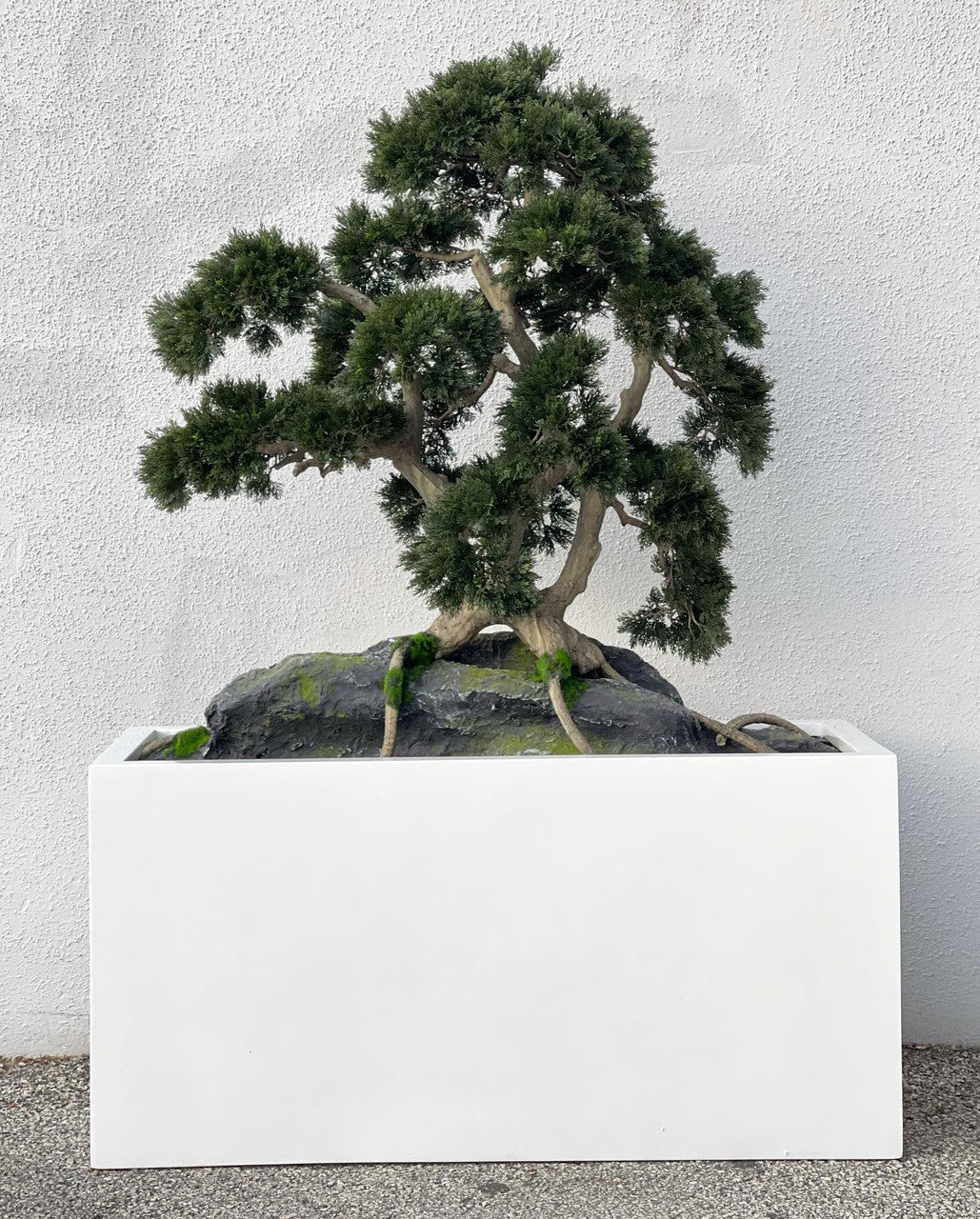 Rock embedded Bonsai with Block M Planter