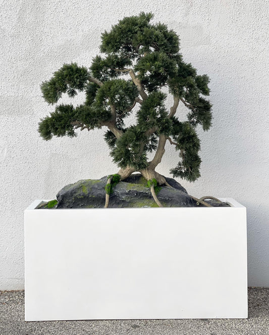 Rock embedded Bonsai with Block M Planter