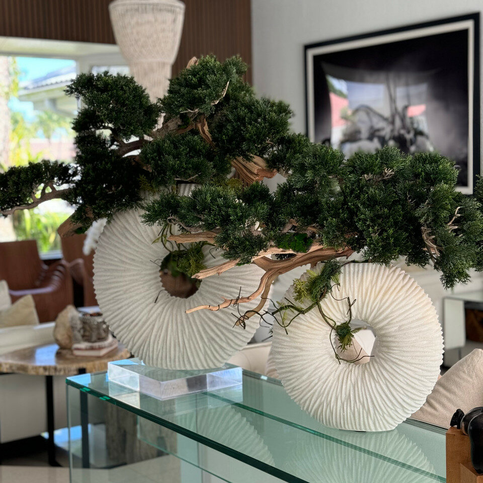 Large Eternity Vase with Trailing Bonsai Tree and Driftwood