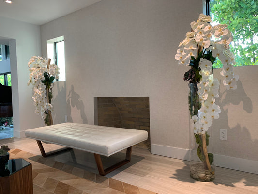 Oversized 39′′ Rota cylinder with multiple stems of Phalaenopsis orchids