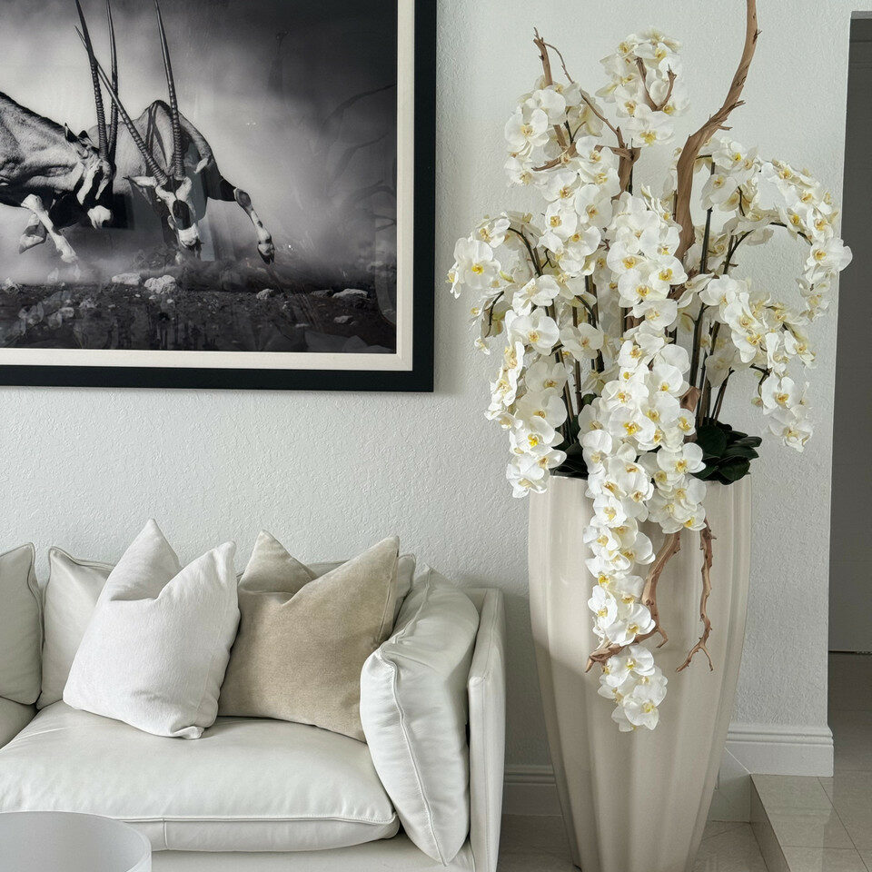 Flower arrangements san jose planter in sand beige with cascading white orchids