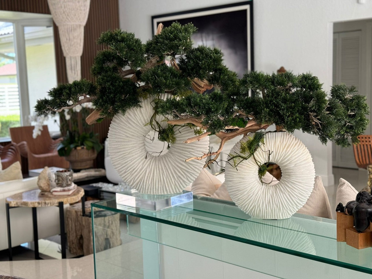 Medium Eternity Vase with Trailing Bonsai Tree and Driftwood