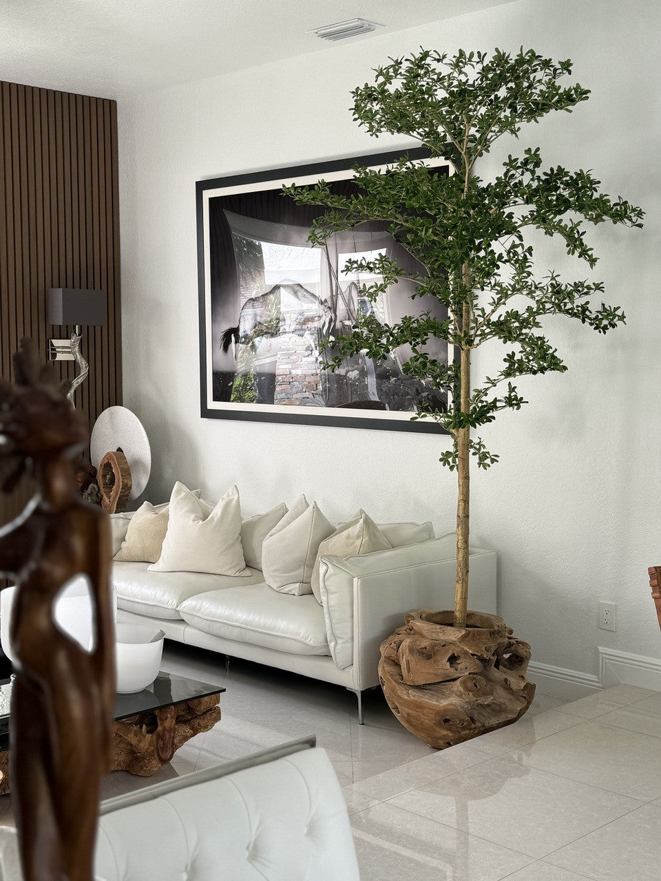 Jardinière unique en teck sculptée à la main avec arbre Shady Lady de 2,1 m