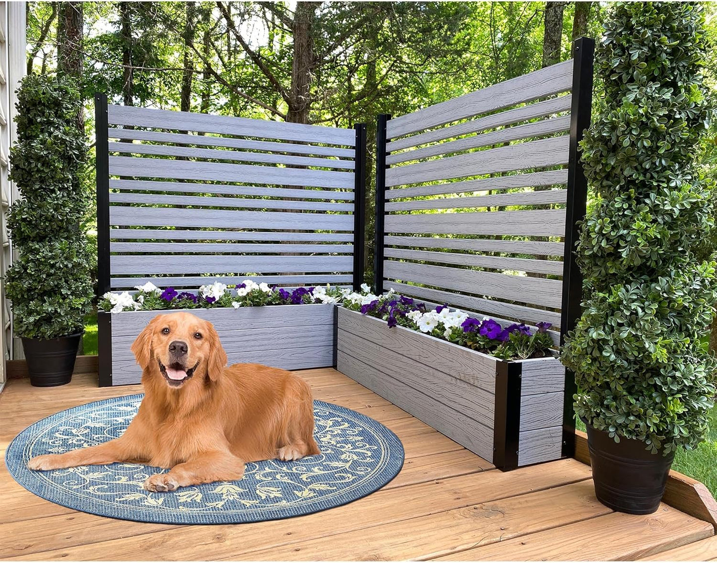 ??Planter boxes with trellis privacy screen