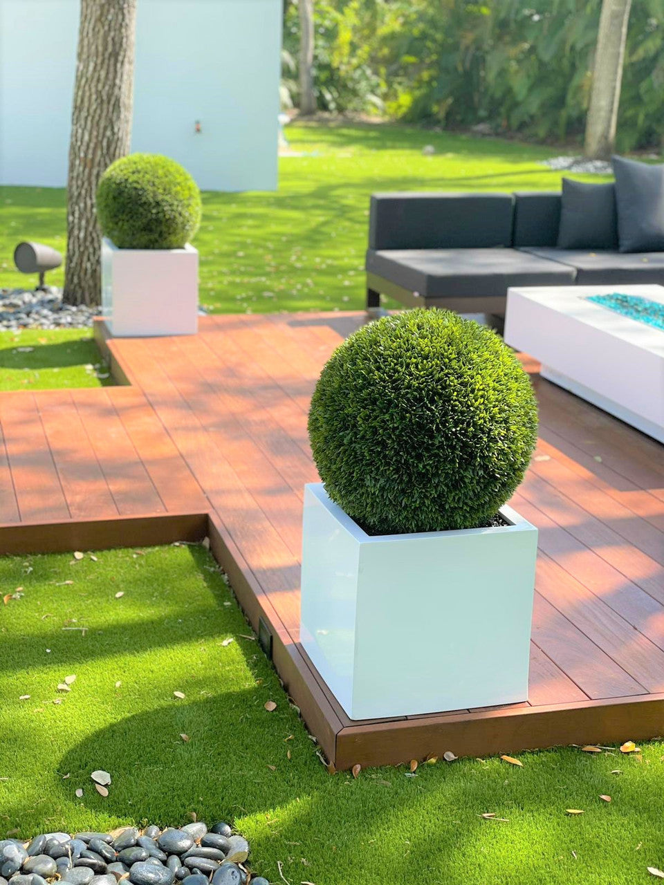 Medium Block Fiberglass Planter with 20″ Topiary