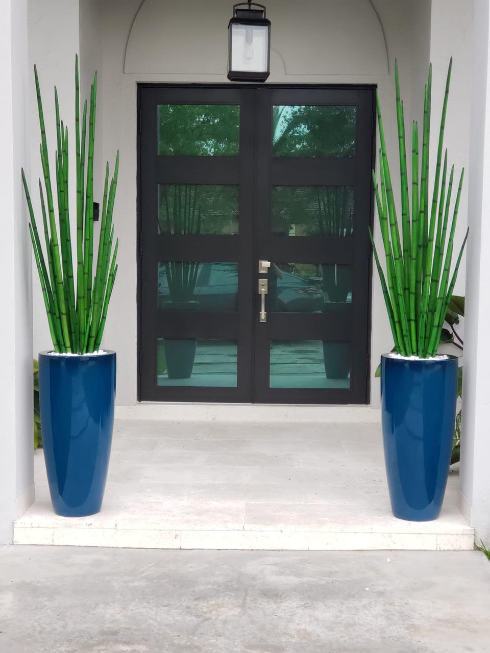 Snake grass (63″) with Dax L planter in dark teal