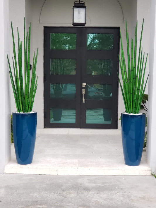 Snake grass (63″) with Dax L planter in dark teal