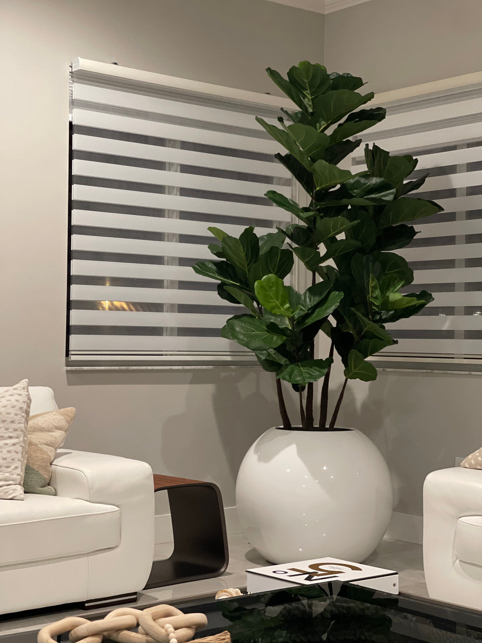 Pot de fleurs sphérique de 30″ avec Ficus lyrata