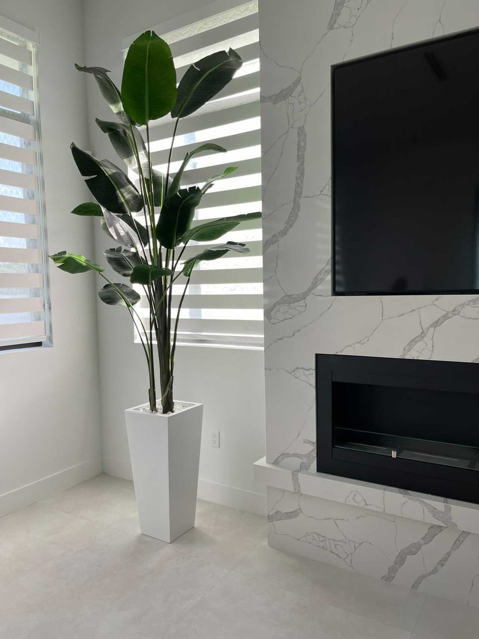 9 ft Bird of Paradise with Medium Beau Planter in Glossy White