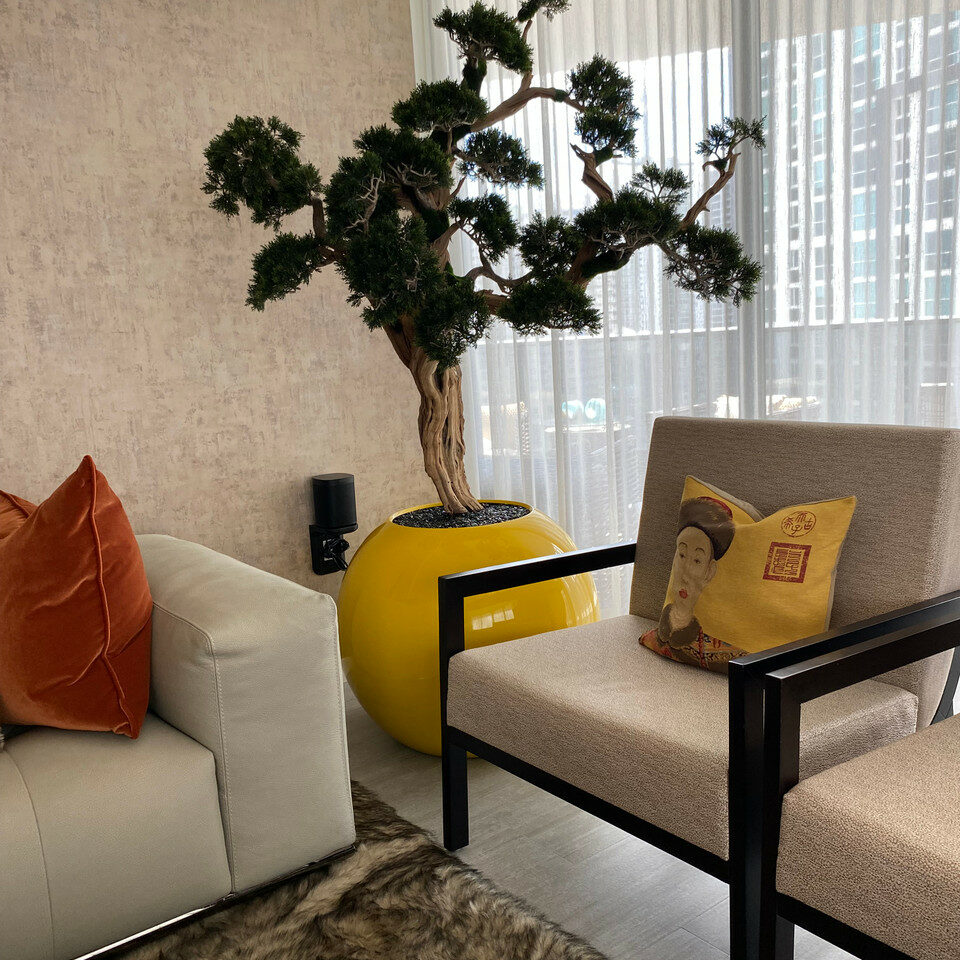 Trees and plants trailing bonsai in saffron yellow globe