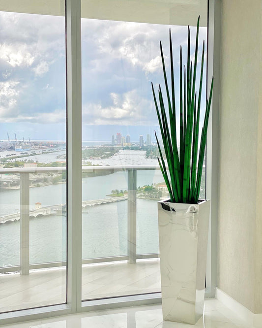 Stainless Steel Cube Planter with Snake Grass