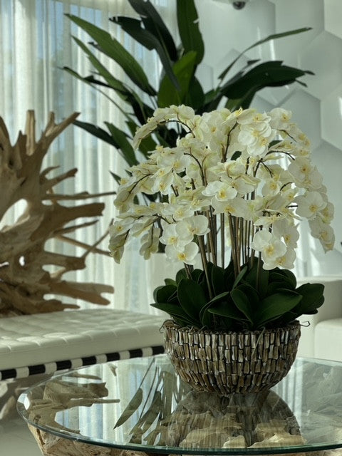 Vase géant en ormeau avec orchidées blanches en cascade