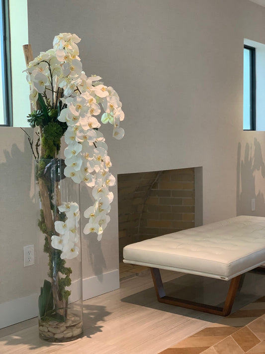 Oversized 39′′ Rota cylinder with multiple stems of Phalaenopsis orchids