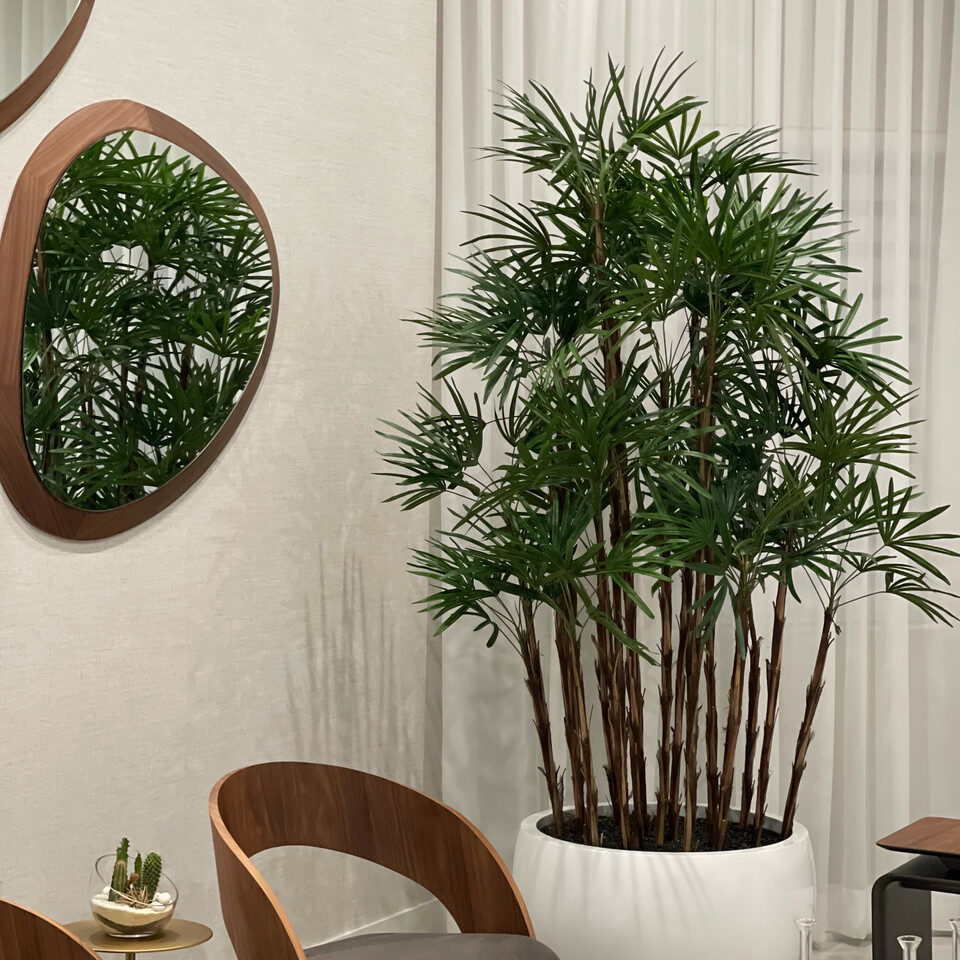 Trees and Plants White Terragona Planter with Lady Palm