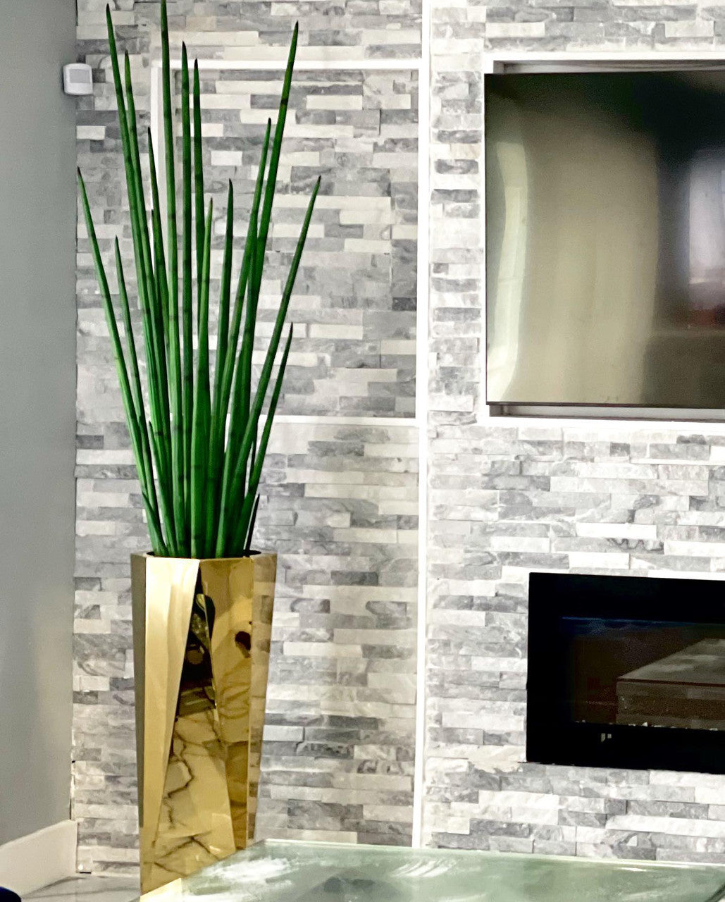 Jardinière octogonale Prism avec Sansevieria