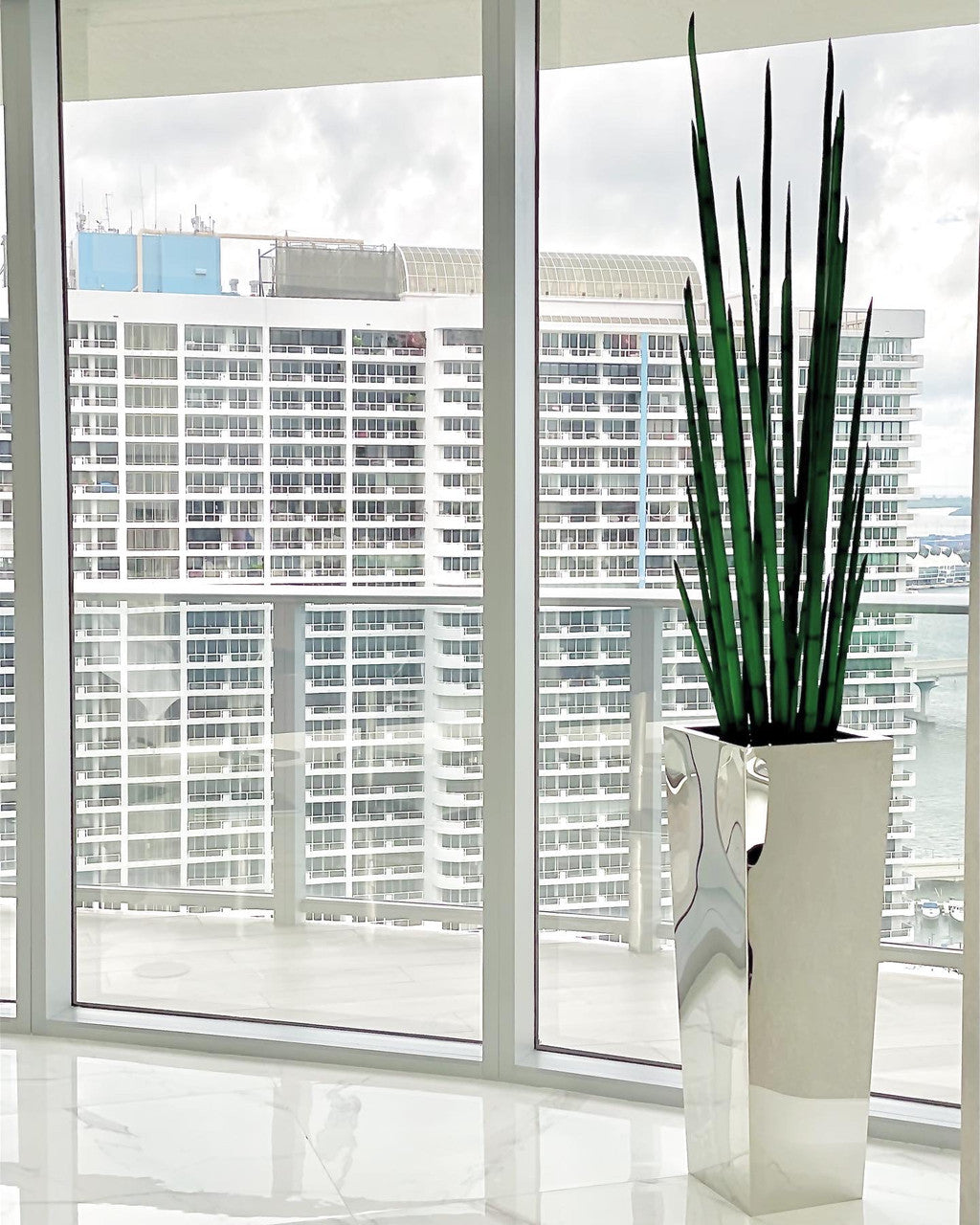 Jardinière cube en acier inoxydable avec Sansevieria