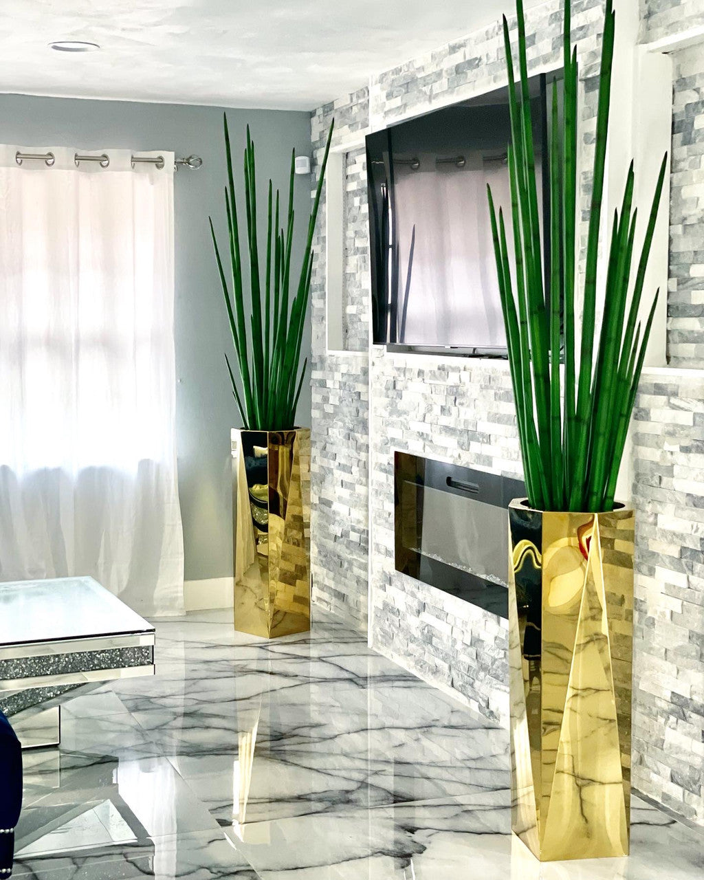 Jardinière octogonale Prism avec Sansevieria
