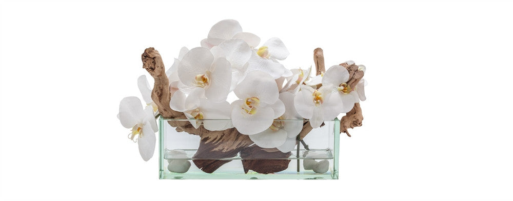 Planteur en verre Casa Moderna 12″ avec orchidées blanches