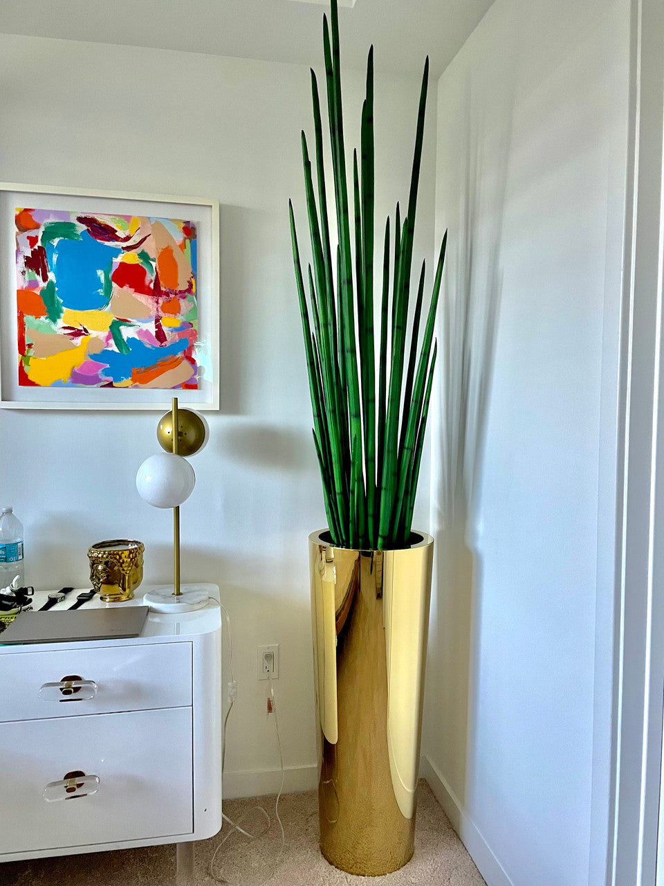 Cône large effilé en acier inoxydable or pur avec grande plante serpent (Sansevieria trifasciata) 1