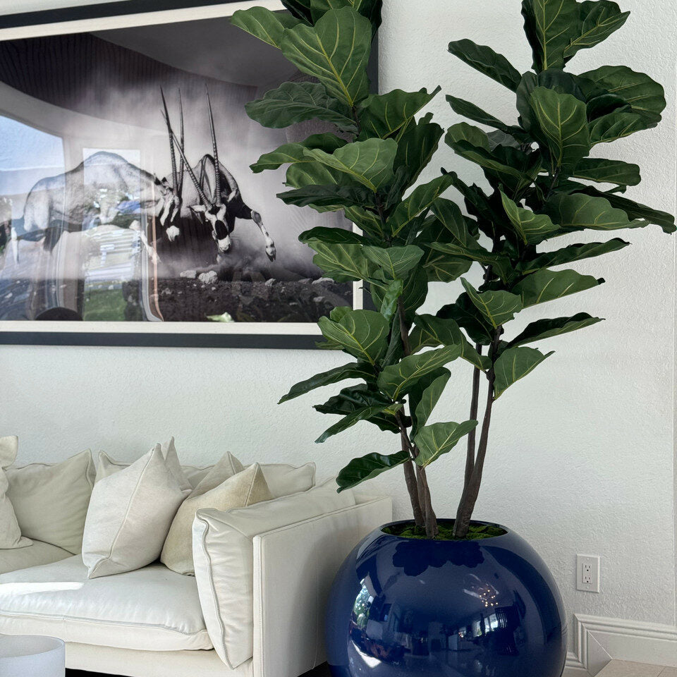 Most Popular Blue Globe Planter with Fiddle Tree