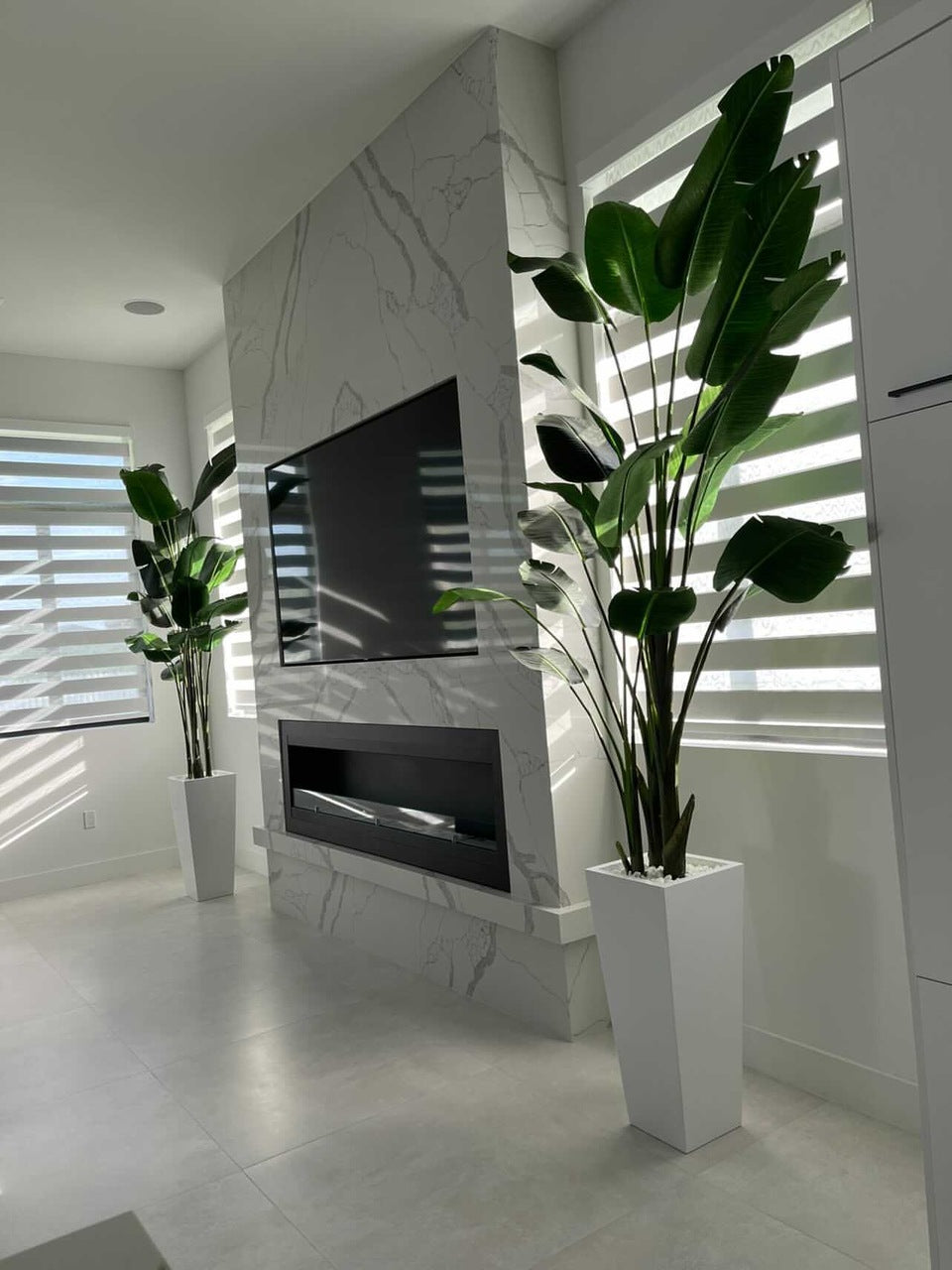 9 ft Bird of Paradise with Medium Beau Planter in Glossy White