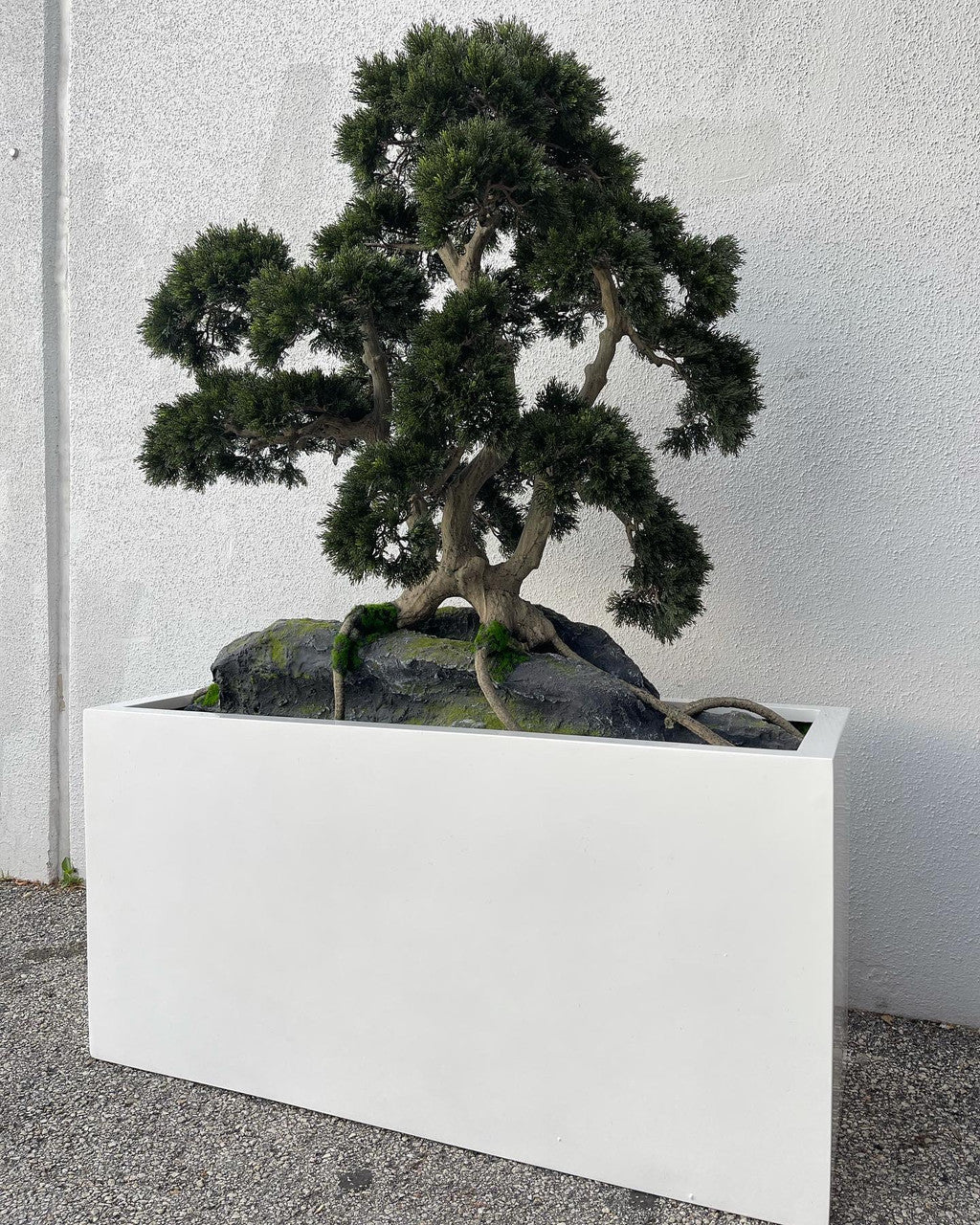 Rock embedded Bonsai with Block M Planter