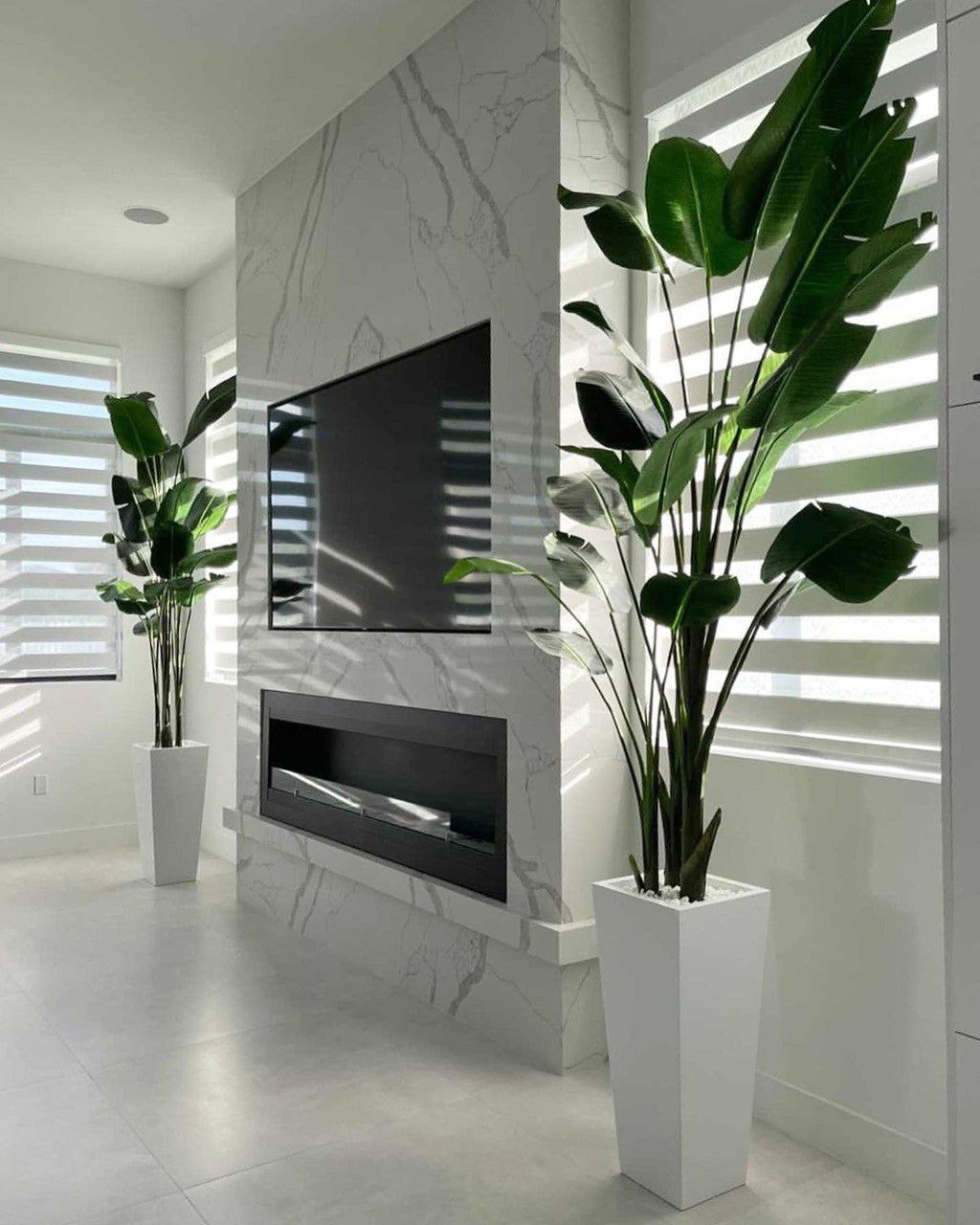 9 ft Bird of Paradise with Medium Beau Planter in Glossy White